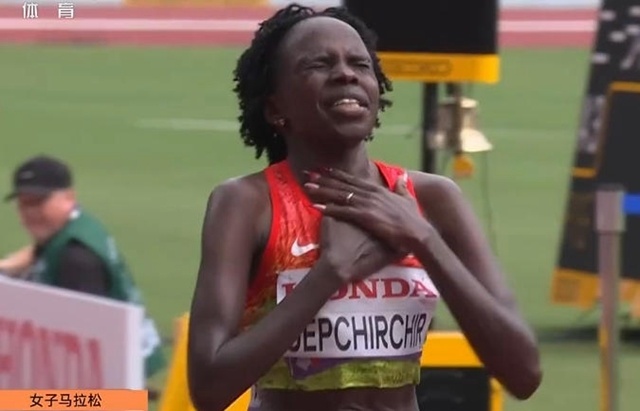 com, lBhdc com, lBhdc